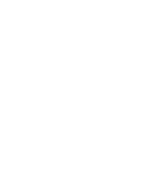 賞与年3回